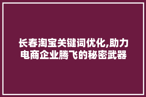 长春淘宝关键词优化,助力电商企业腾飞的秘密武器