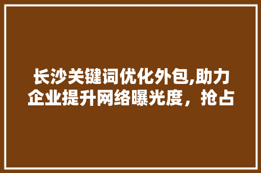 长沙关键词优化外包,助力企业提升网络曝光度，抢占市场先机