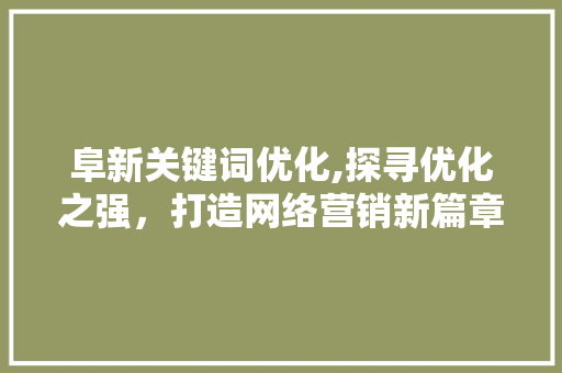 阜新关键词优化,探寻优化之强，打造网络营销新篇章