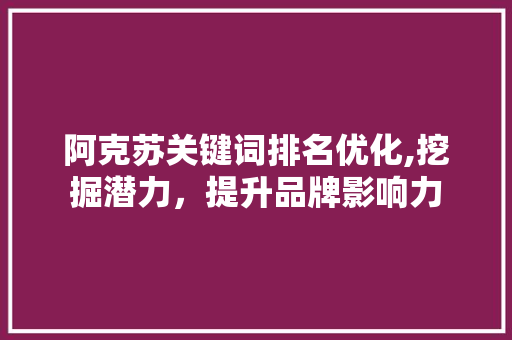 阿克苏关键词排名优化,挖掘潜力，提升品牌影响力