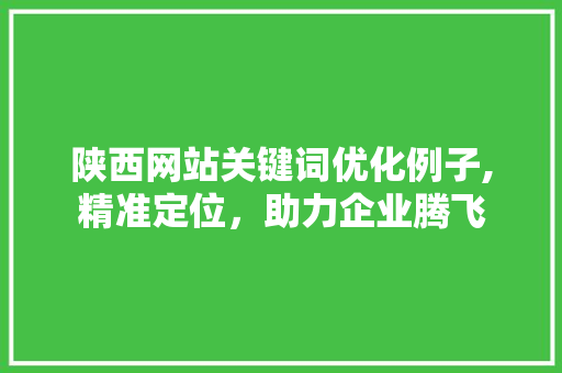 陕西网站关键词优化例子,精准定位，助力企业腾飞