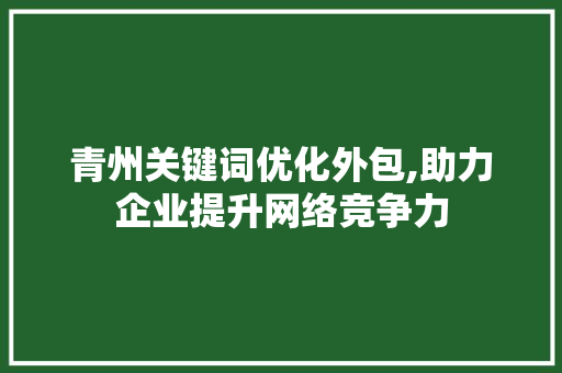 青州关键词优化外包,助力企业提升网络竞争力