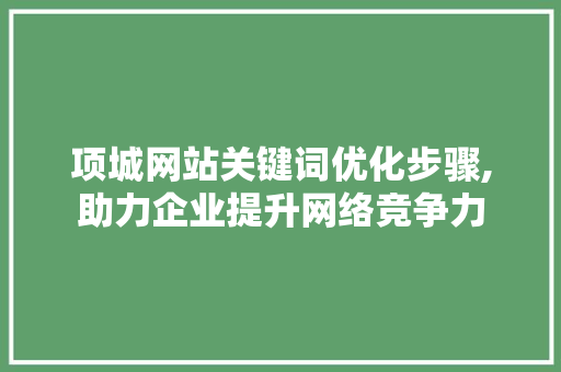 项城网站关键词优化步骤,助力企业提升网络竞争力