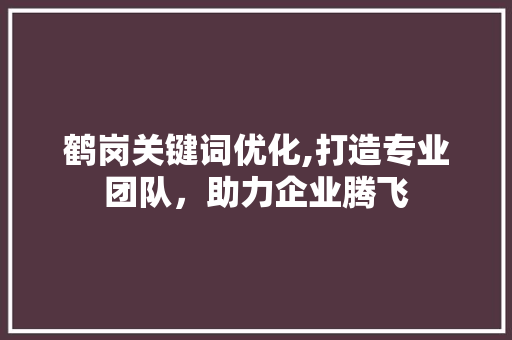 鹤岗关键词优化,打造专业团队，助力企业腾飞