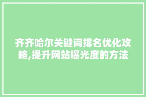 齐齐哈尔关键词排名优化攻略,提升网站曝光度的方法