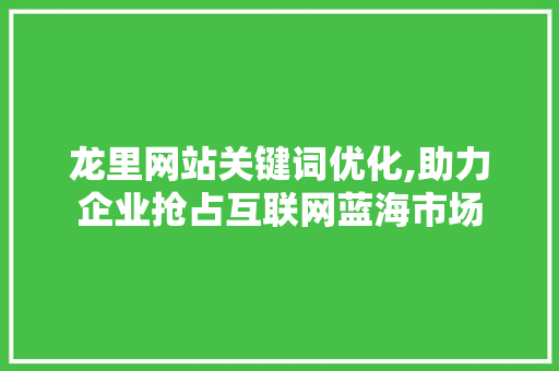 龙里网站关键词优化,助力企业抢占互联网蓝海市场