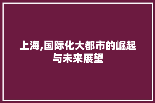 上海,国际化大都市的崛起与未来展望