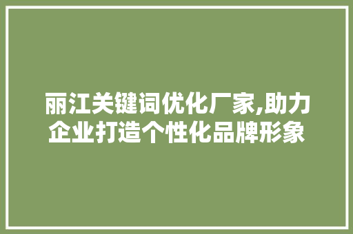 丽江关键词优化厂家,助力企业打造个性化品牌形象