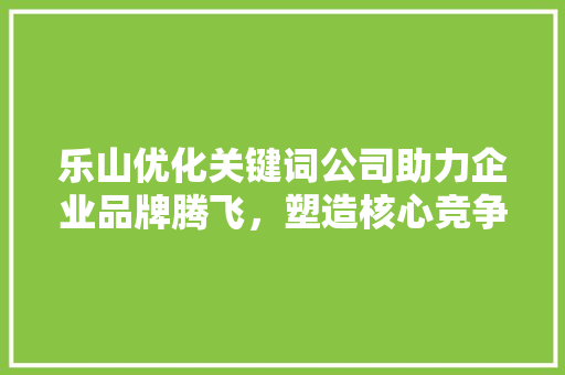 乐山优化关键词公司助力企业品牌腾飞，塑造核心竞争力