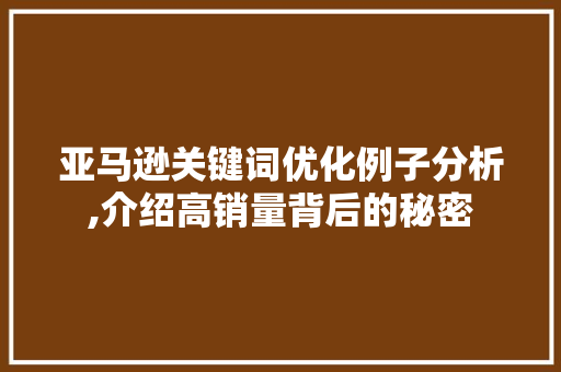 亚马逊关键词优化例子分析,介绍高销量背后的秘密
