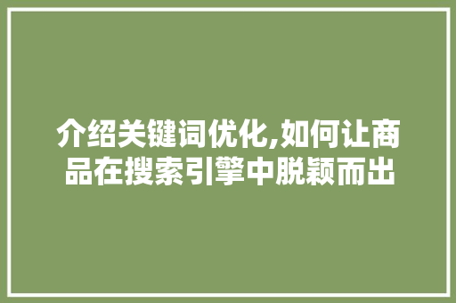 介绍关键词优化,如何让商品在搜索引擎中脱颖而出