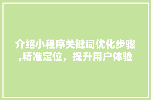 介绍小程序关键词优化步骤,精准定位，提升用户体验