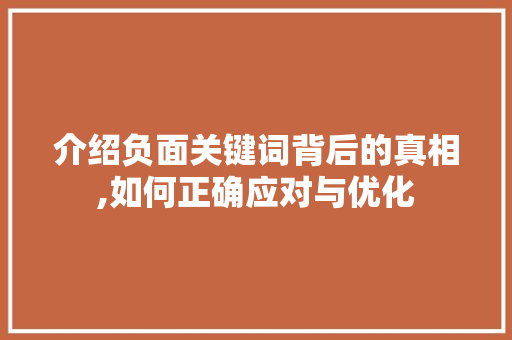 介绍负面关键词背后的真相,如何正确应对与优化