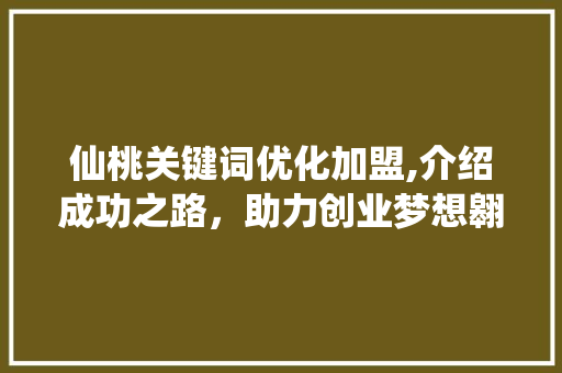 仙桃关键词优化加盟,介绍成功之路，助力创业梦想翱翔
