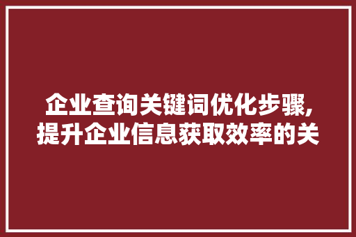 企业查询关键词优化步骤,提升企业信息获取效率的关键