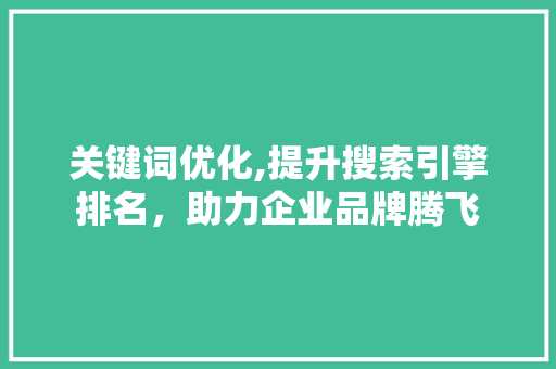 关键词优化,提升搜索引擎排名，助力企业品牌腾飞