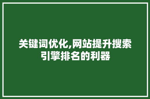 关键词优化,网站提升搜索引擎排名的利器 建站教程