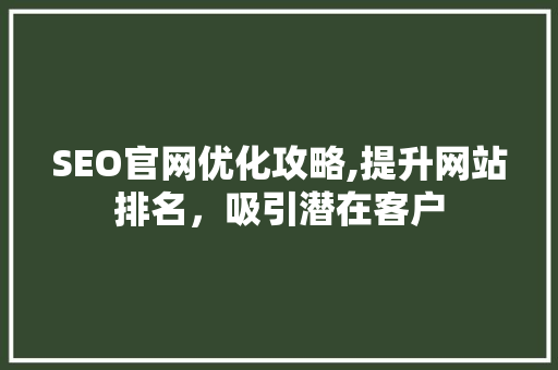 SEO官网优化攻略,提升网站排名，吸引潜在客户
