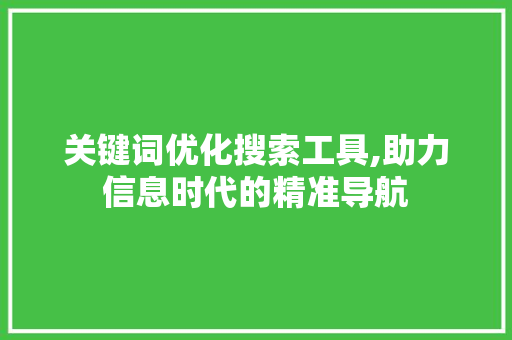 关键词优化搜索工具,助力信息时代的精准导航