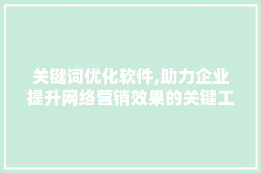 关键词优化软件,助力企业提升网络营销效果的关键工具