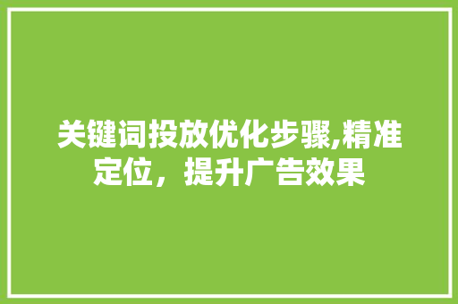 关键词投放优化步骤,精准定位，提升广告效果