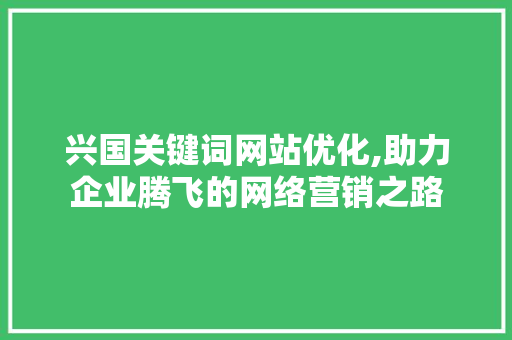 兴国关键词网站优化,助力企业腾飞的网络营销之路