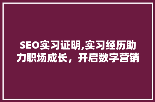 SEO实习证明,实习经历助力职场成长，开启数字营销新篇章