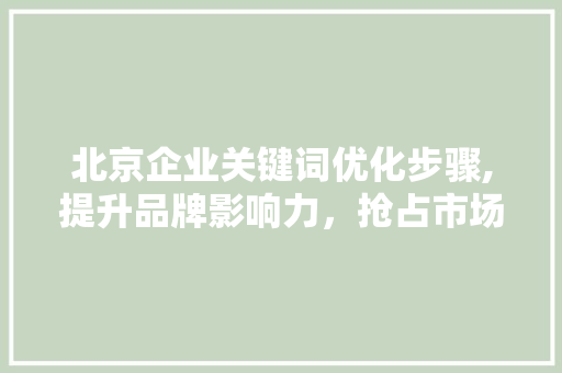 北京企业关键词优化步骤,提升品牌影响力，抢占市场先机