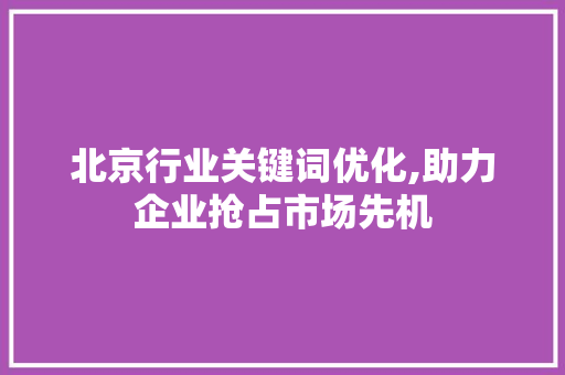 北京行业关键词优化,助力企业抢占市场先机