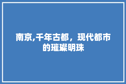 南京,千年古都，现代都市的璀璨明珠