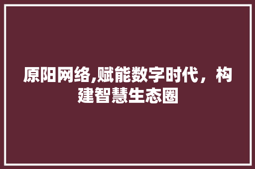 原阳网络,赋能数字时代，构建智慧生态圈