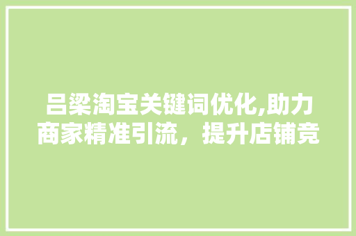 吕梁淘宝关键词优化,助力商家精准引流，提升店铺竞争力