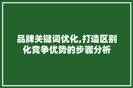 品牌关键词优化,打造区别化竞争优势的步骤分析