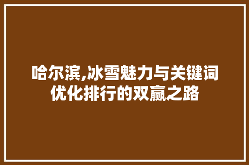 哈尔滨,冰雪魅力与关键词优化排行的双赢之路