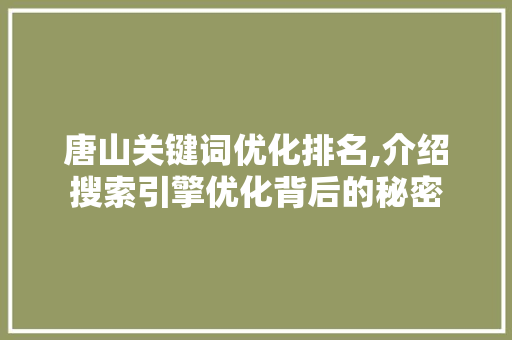 唐山关键词优化排名,介绍搜索引擎优化背后的秘密