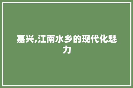 嘉兴,江南水乡的现代化魅力