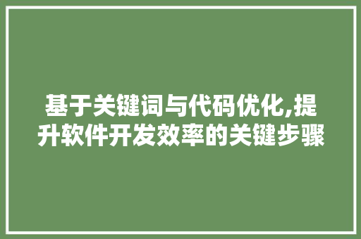 基于关键词与代码优化,提升软件开发效率的关键步骤
