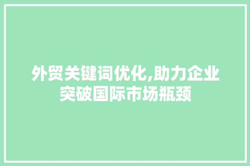 外贸关键词优化,助力企业突破国际市场瓶颈
