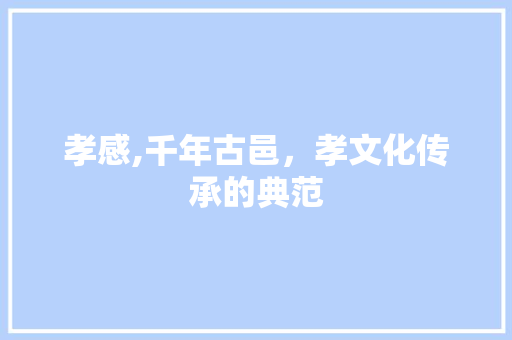 孝感,千年古邑，孝文化传承的典范
