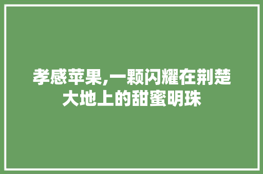 孝感苹果,一颗闪耀在荆楚大地上的甜蜜明珠