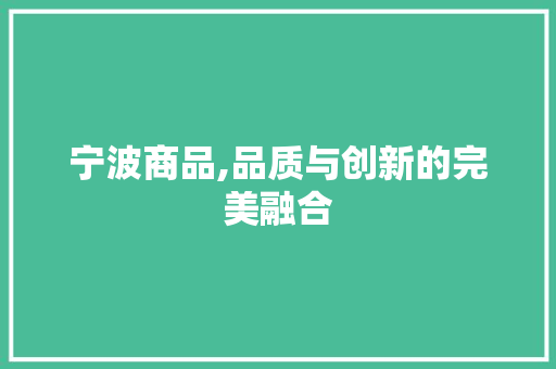宁波商品,品质与创新的完美融合