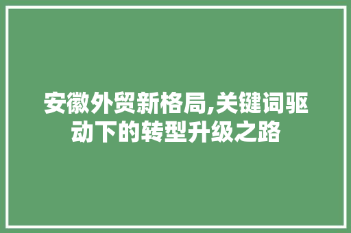 安徽外贸新格局,关键词驱动下的转型升级之路