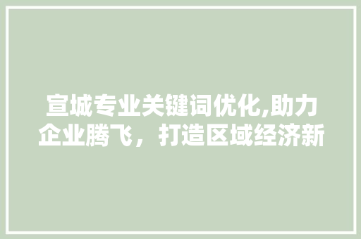 宣城专业关键词优化,助力企业腾飞，打造区域经济新亮点