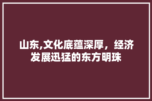 山东,文化底蕴深厚，经济发展迅猛的东方明珠