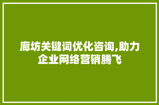 廊坊关键词优化咨询,助力企业网络营销腾飞