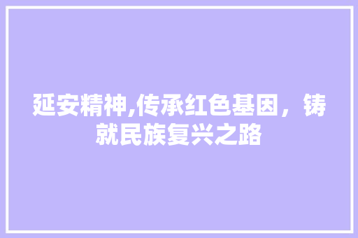 延安精神,传承红色基因，铸就民族复兴之路