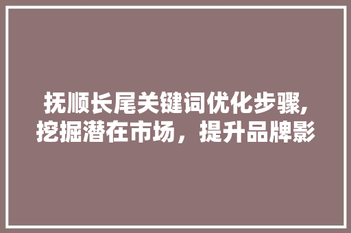 抚顺长尾关键词优化步骤,挖掘潜在市场，提升品牌影响力