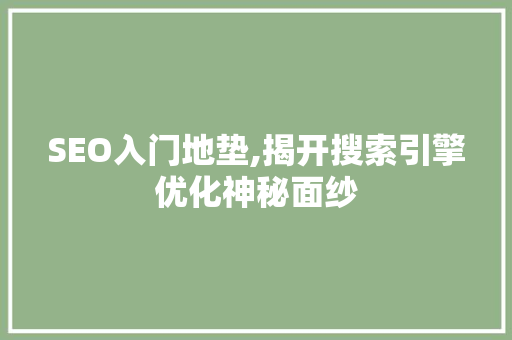SEO入门地垫,揭开搜索引擎优化神秘面纱