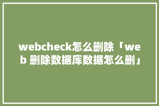 webcheck怎么删除「web 删除数据库数据怎么删」