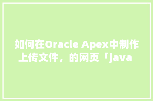 如何在Oracle Apex中制作上传文件，的网页「java web如何连接数据库」